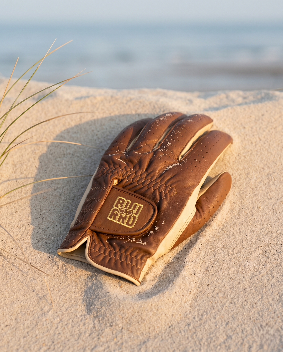 The Dune